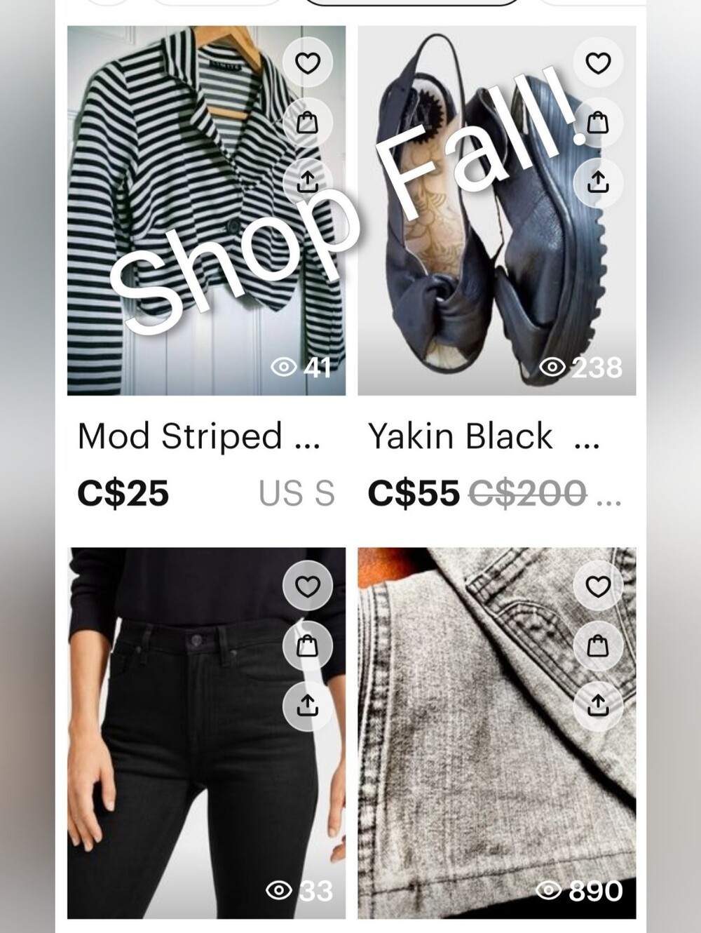 Shop Fall!